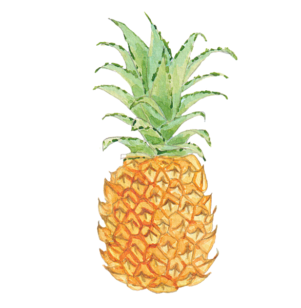 Pineapple