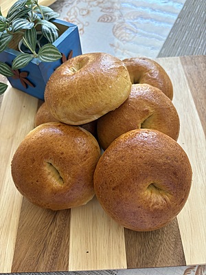 Plain Bagels