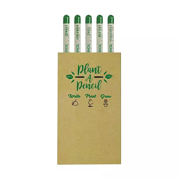 Plantable A Pencils Set Seeds Tomato Coriander Chili Mustard Fenugreek