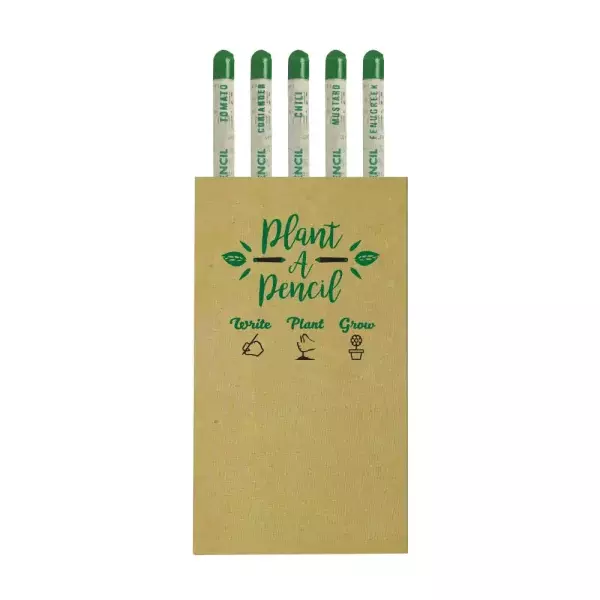 Plantable A Pencils Set Seeds Tomato Coriander Chili Mustard Fenugreek