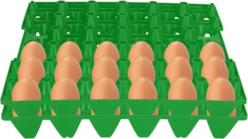 Plastic Egg Tray for 30 Chicken eggs