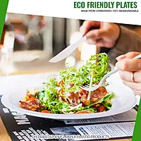 6" Plate Eco-Island 50/10