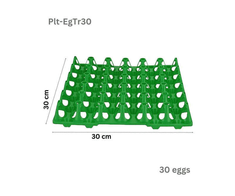 Plastic Egg Tray for 30 Chicken eggs