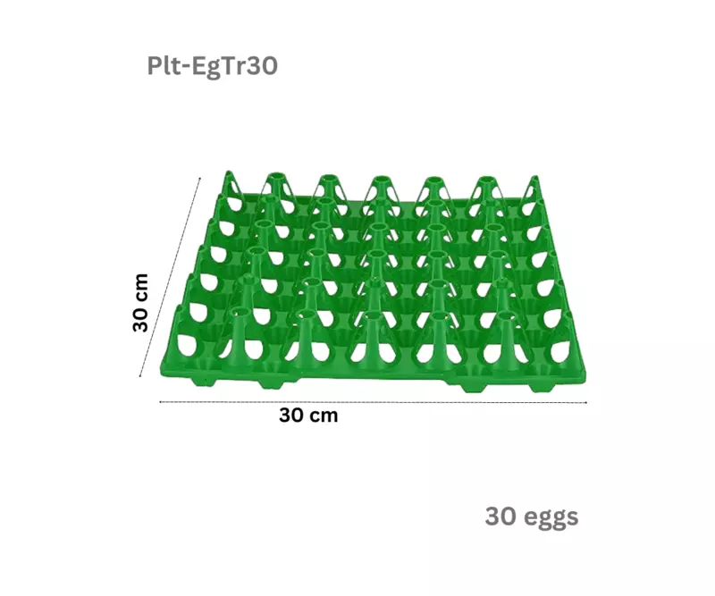 Plastic Egg Tray for 30 Chicken eggs