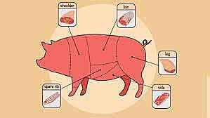PORK