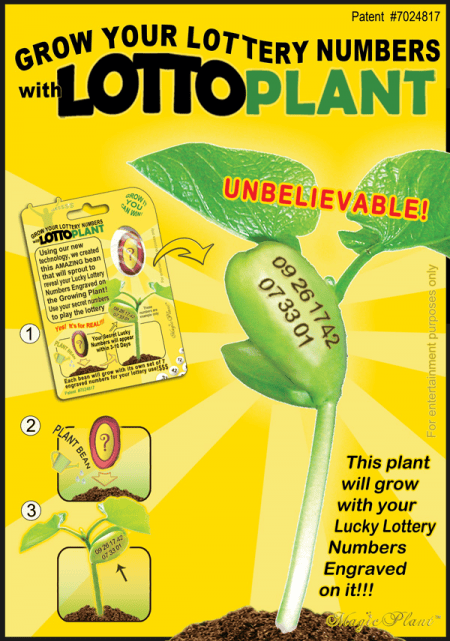 Lotto Plant Card - Grow Lucky Numbers