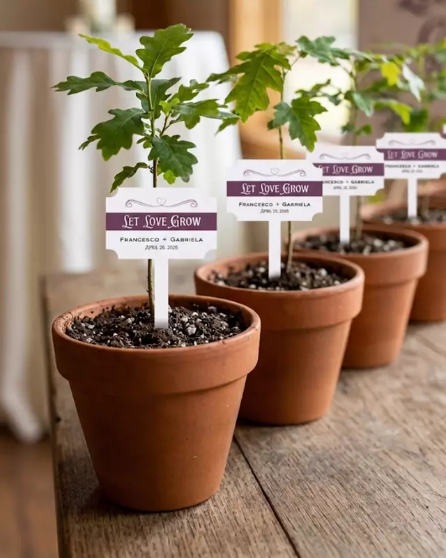 Pot Stake Favor Tag, Set of 5