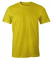 Polyester T Shirts (Soft Feel)