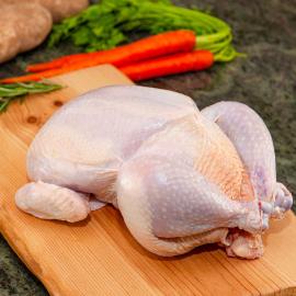 AgriBloom Chicken-Premium AgriBloom Chicken-Premium