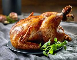 AgriBloom Chicken-Premium AgriBloom Chicken-Premium