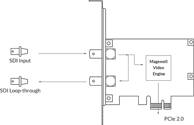 Magewell Pro Capture SDI Magewell Pro Capture SDI