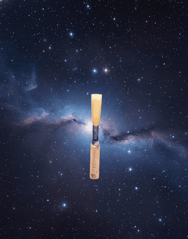 Professional Oboe Reed Professional Oboe Reed