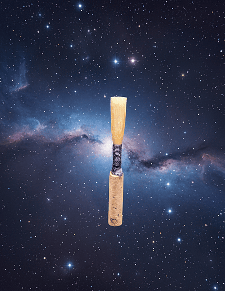 Professional Oboe Reed