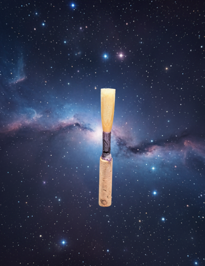 Professional Oboe Reed