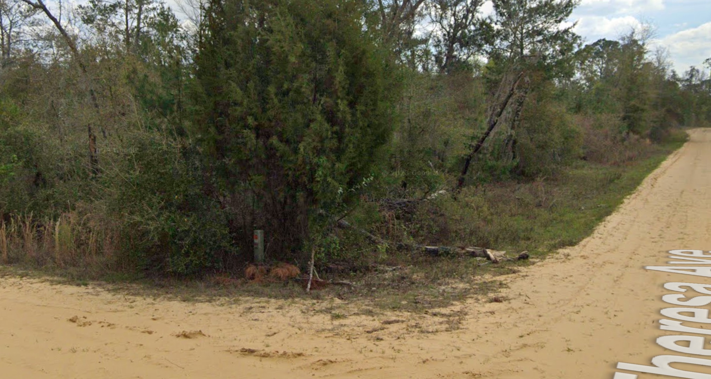 Unnamed Clifford St & Theresa Ave - Affordable .33 Acre Vacant Corner Lot in Interlachen