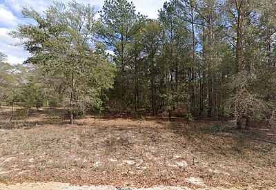 Alan Dr. & Kitty Ave. - Affordable .22 Acre Vacant Lot in Interlachen