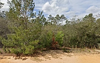 David Avenue - Affordable .22 Acre Lot in Interlachen