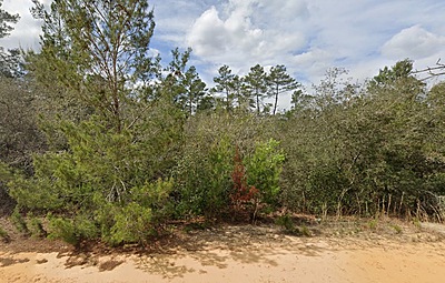 David Avenue - Affordable .22 Acre Lot in Interlachen