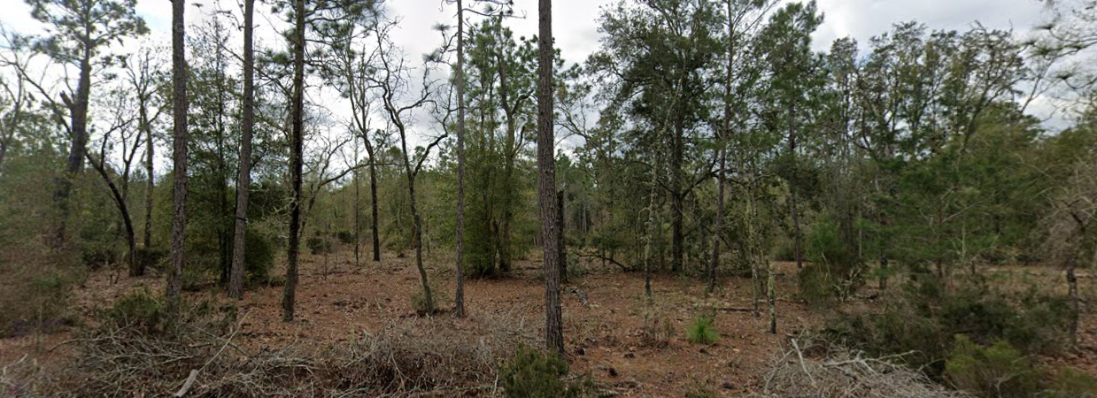 368 SE 10th Street - Affordable .45 Acre Lot in Interlachen