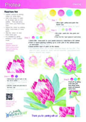 Protea Instruction Poster