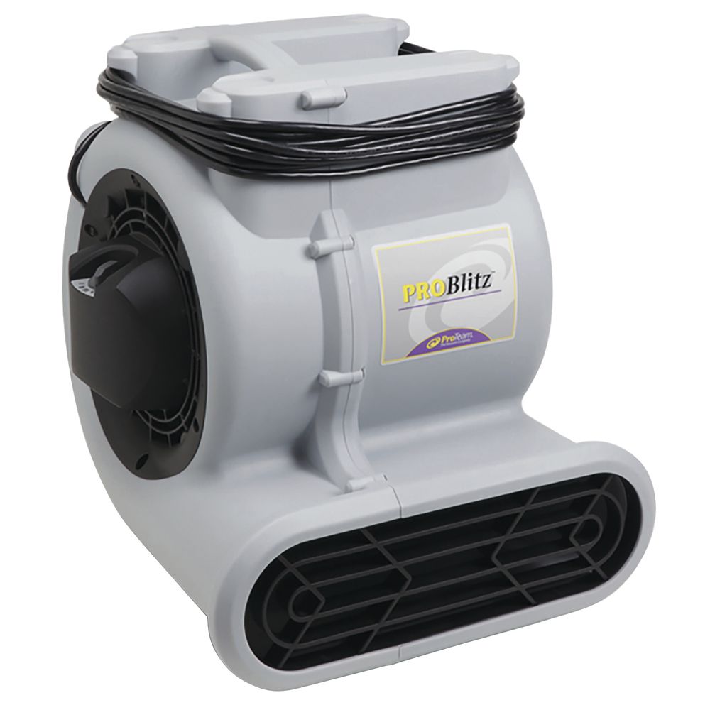 Proteam Problitz Air Mover Rental