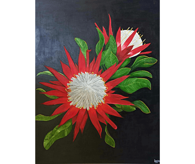 PROTEAS by Louise PROTEAS by Louise