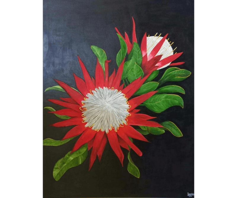 PROTEAS by Louise PROTEAS by Louise