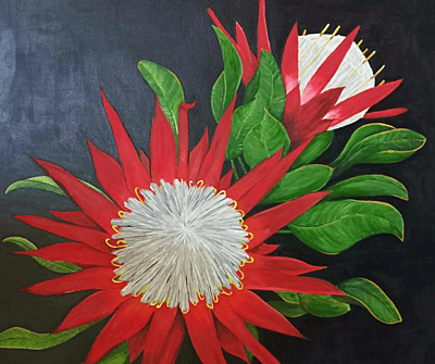 PROTEAS by Louise PROTEAS by Louise