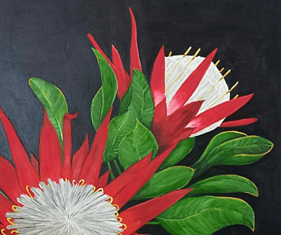 PROTEAS by Louise PROTEAS by Louise