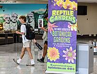 Pull-Up Banner Pull-Up Banner