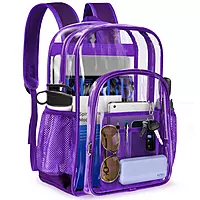 Purple Transparent Backpack