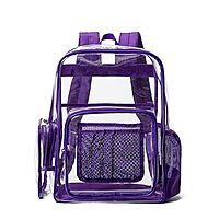 Purple Transparent Backpack