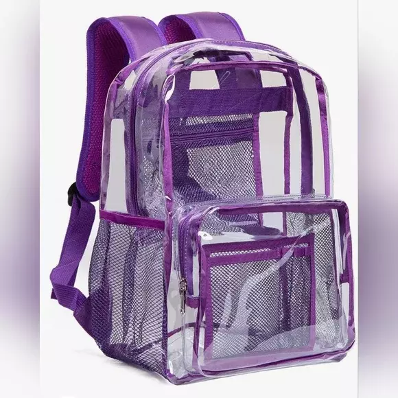 Purple Transparent Backpack
