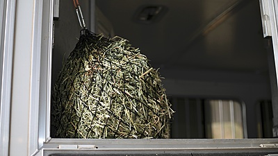 Hay Chix Quarter Bale Net