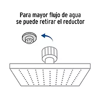 Regadera acero inoxidable, 10', con brazo, satinado, Riviera - R-310N / 45774