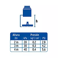 Regadera acero inoxidable, 10', con brazo, satinado, Riviera - R-310N / 45774