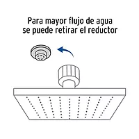 Regadera acero inoxidable, 10', sin brazo, satinado, Riviera - R-310SN / 45782