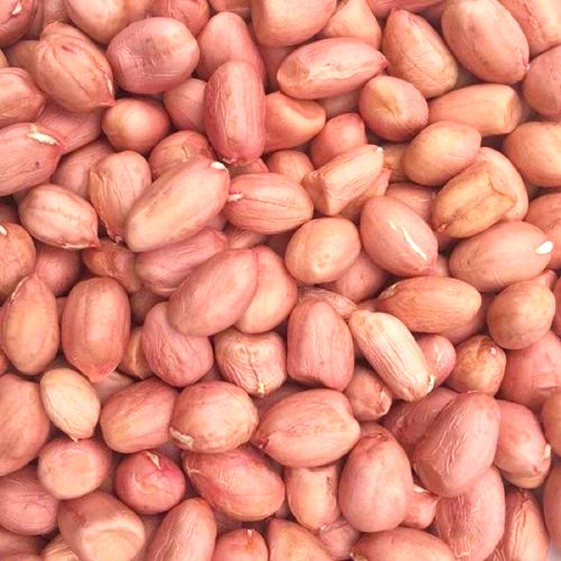 Raw Peanuts Spanish Jumbo