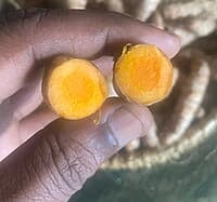 Virali Manjal Raw Turmeric Seed