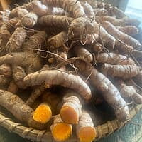 Virali Manjal Raw Turmeric Seed