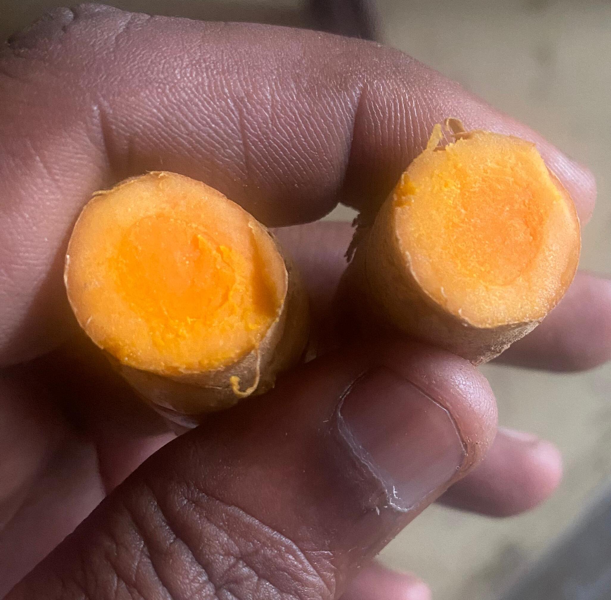 Virali Manjal Raw Turmeric Seed