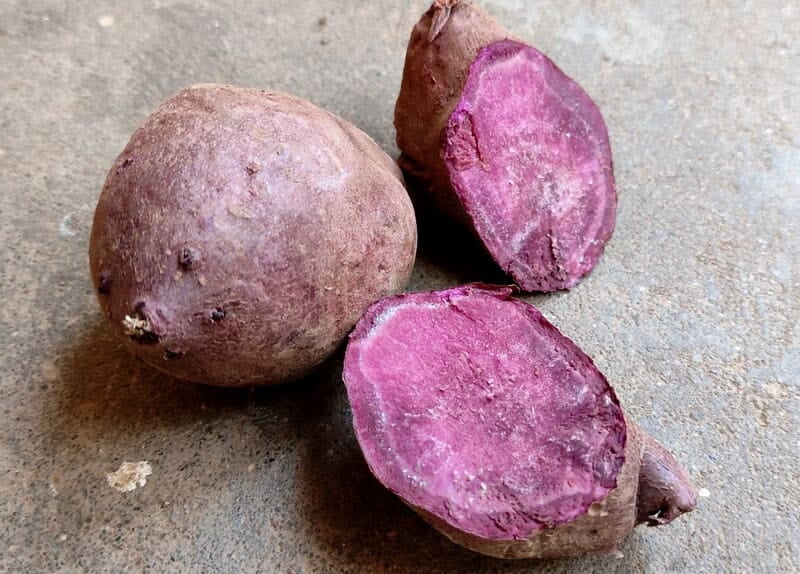 Purple Sweet Potato