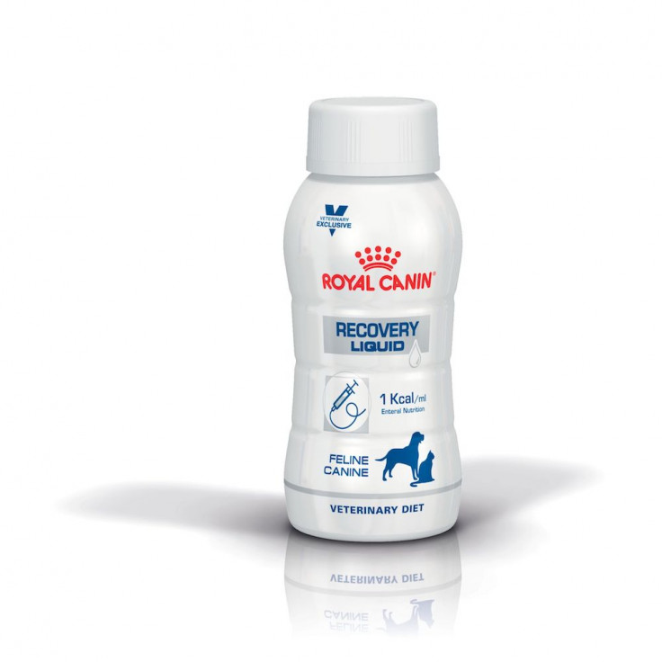Recovery Liquid Feline and Canine - 0.2L