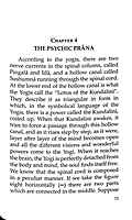 Raja Yoga - Conquering the Internal Nature