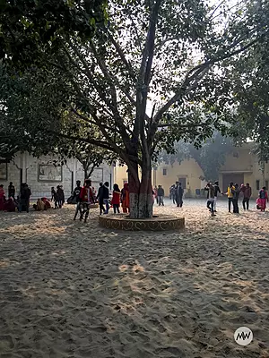 Gokul and Dauji Sightseeing (8 Hours)