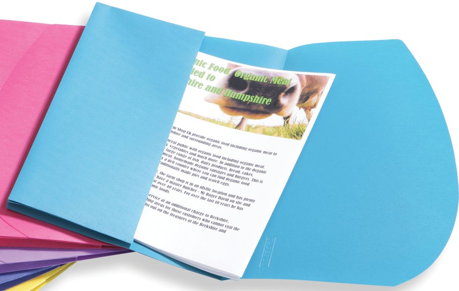 POLY WALLET BLUE RAPESCO UK 0703