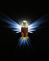 Realistic Eagle Wall Light