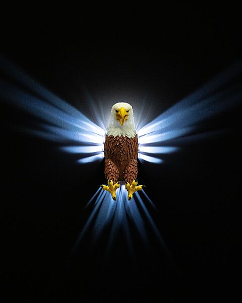 Realistic Eagle Wall Light