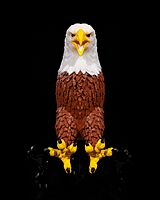 Realistic Eagle Wall Light