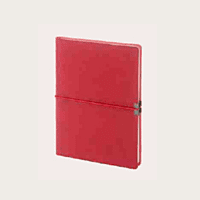 Brown Diary BB23 Brown Diary BB23